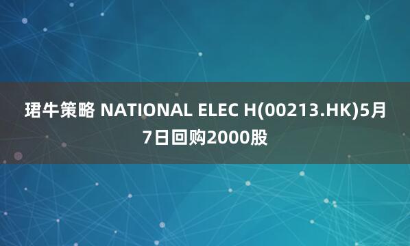 珺牛策略 NATIONAL ELEC H(00213.HK)5月7日回购2000股