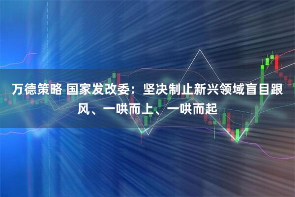 万德策略 国家发改委：坚决制止新兴领域盲目跟风、一哄而上、一哄而起
